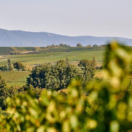 Weingasthaus Wisser Billigheim-Ingenheim ภายนอก รูปภาพ