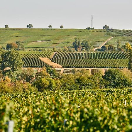 Weingasthaus Wisser Billigheim-Ingenheim ภายนอก รูปภาพ