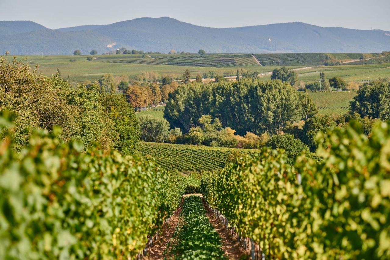 Weingasthaus Wisser Billigheim-Ingenheim ภายนอก รูปภาพ